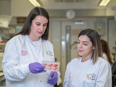 Two researchers in white lab coats, looking at a petri dish together.