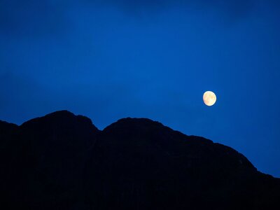 Night In The Wild
