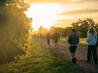 A photo of a crowd of people walking towards down a path with grass and trees either side. The sun is low in the sky, and golden.