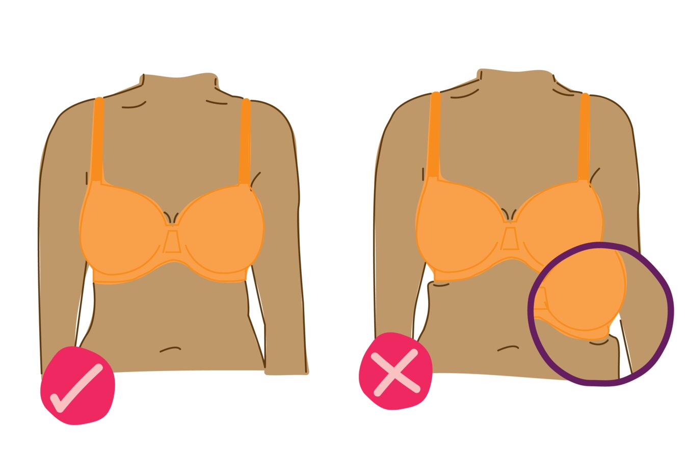 The underwires should lie flat without digging in.