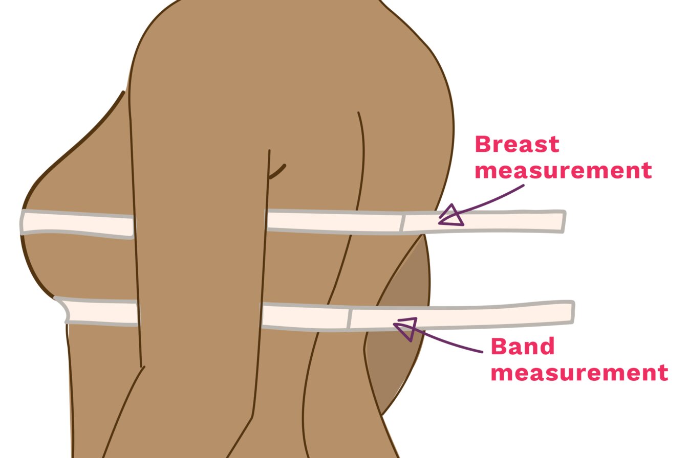Illustration showing where to measure. 