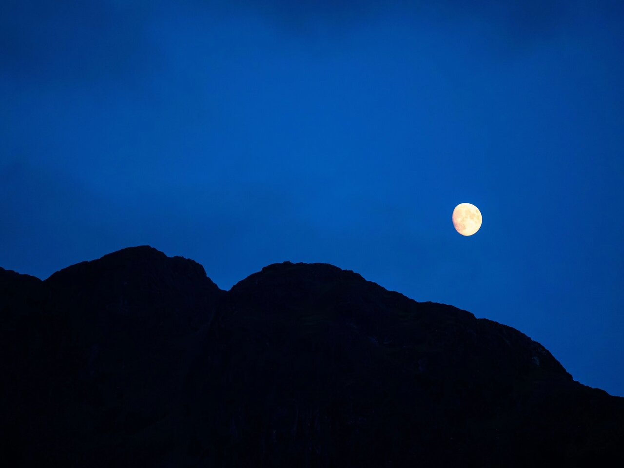 Night In The Wild