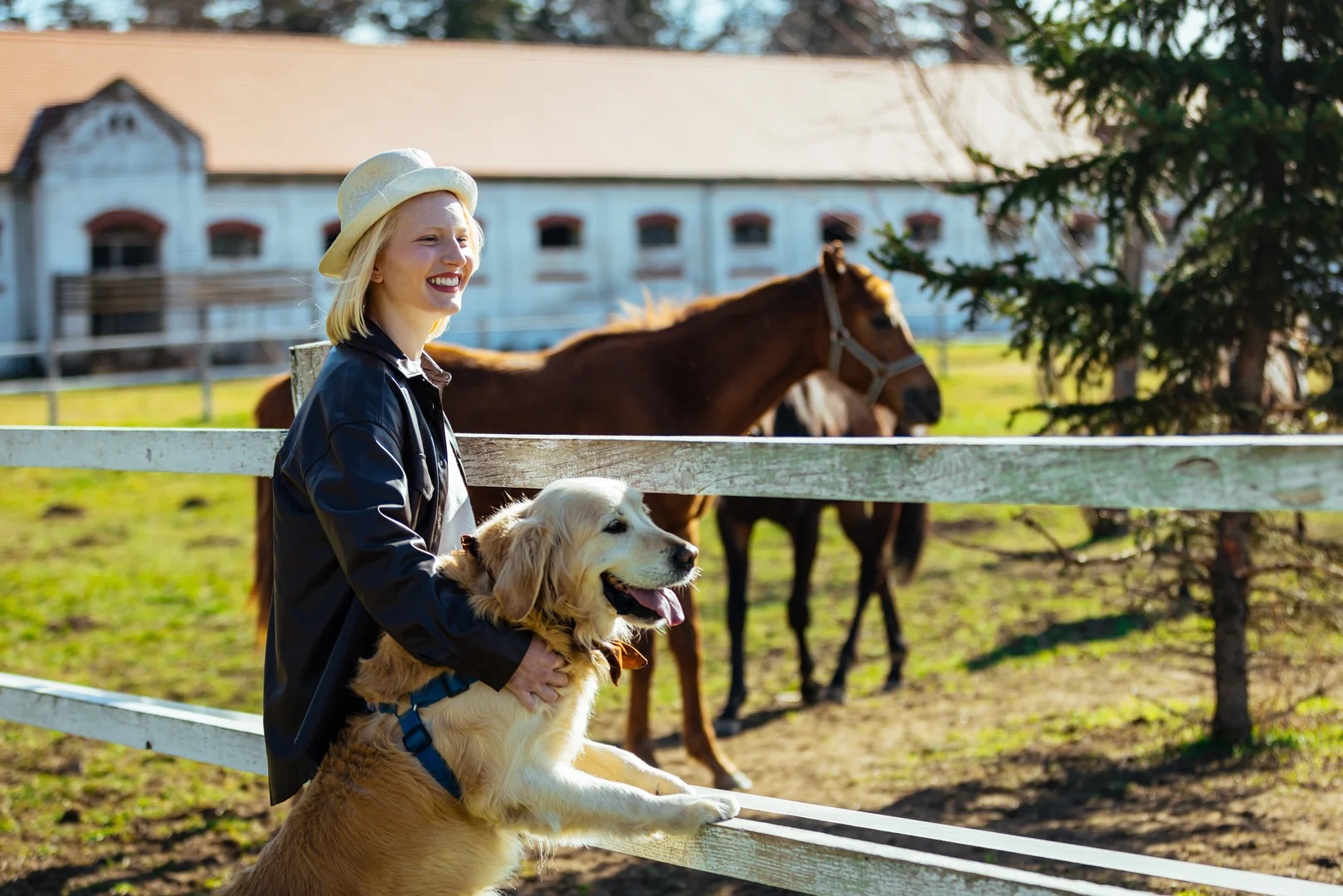  Woman and Dog on Farm with Horses