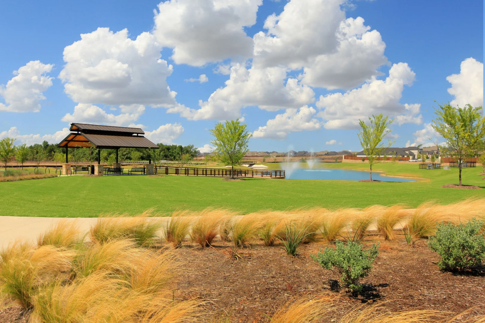 Elevon Pond