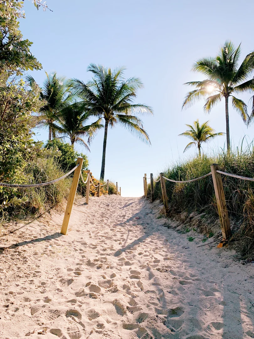  East Coast Florida Beach Trees Boardwalk Sand