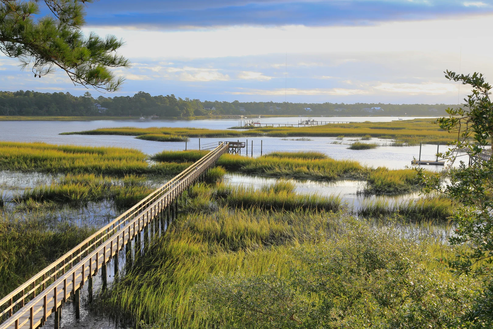 Wando River view
