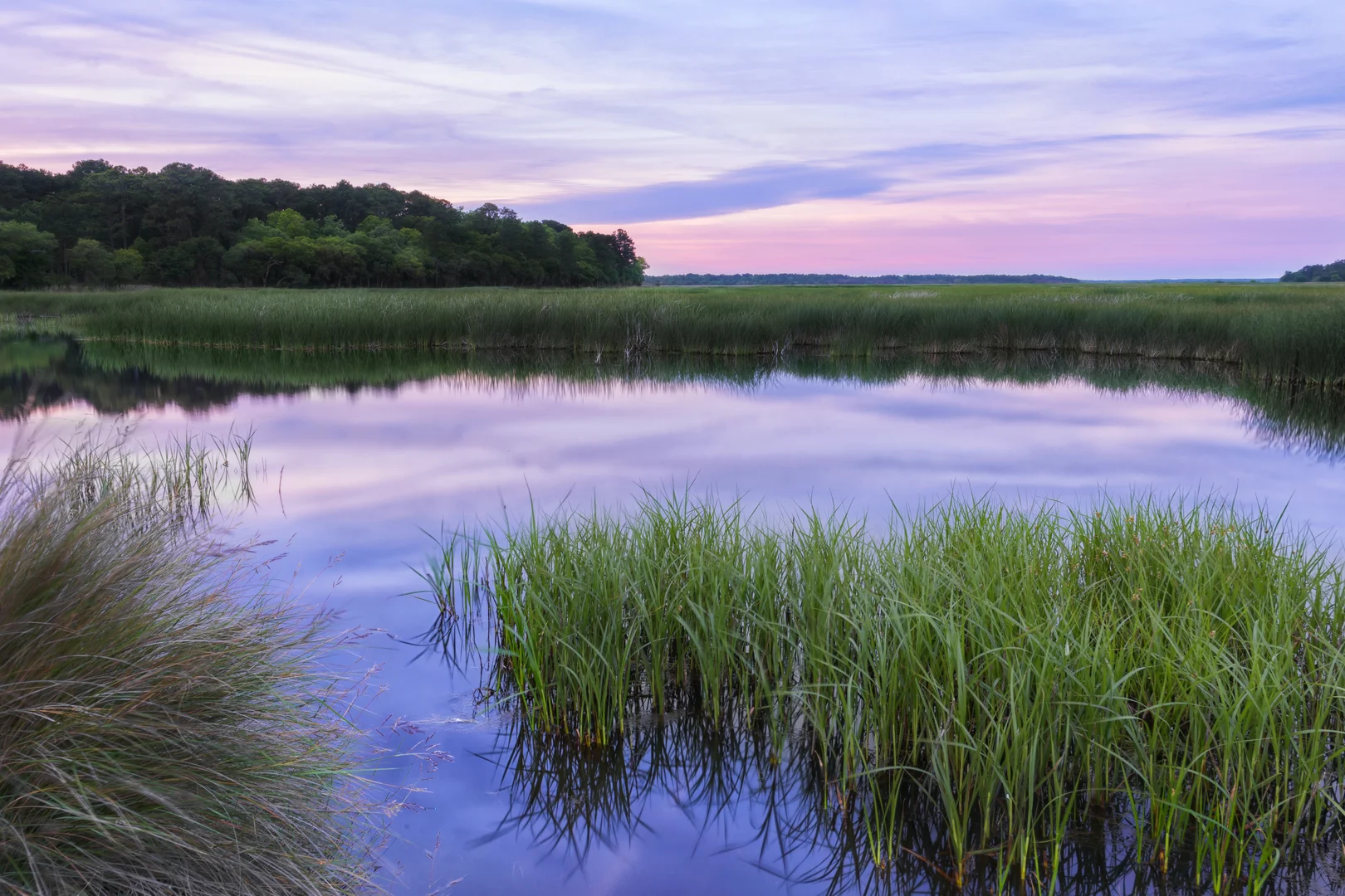  Charleston wetlands