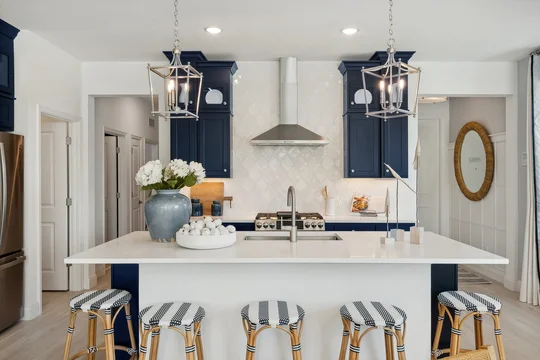 Four Seasons at Wylder Spring Lake IV Kitchen Classic Level 