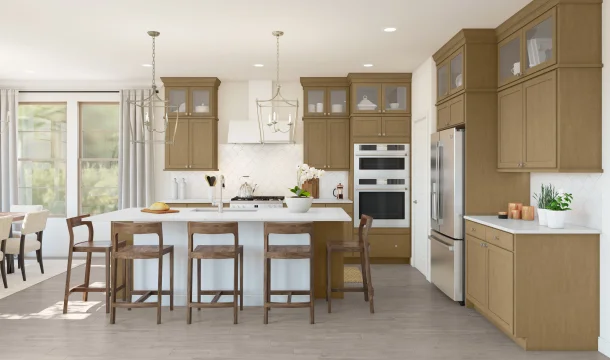 Hampton Kitchen Classic Palette 5 Level 1 Modern Classic