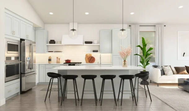 Chalet at Legacy Place Cork Kitchen Loft Palette 6 Level 1 Black and White Loft