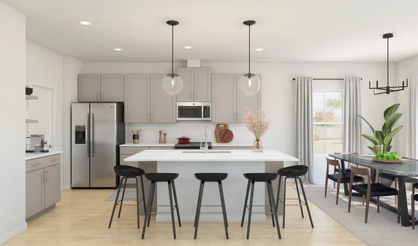 Aspire at Desert Vista Water Lily II Kitchen Loft Palette 1 Ascend Black and White Loft