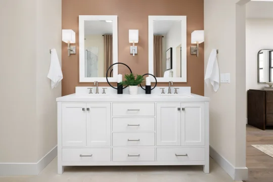 Cascade at One Lake Fayetteville II Primary Bathroom Classic Palette 6 Level 2 Restoration Classic