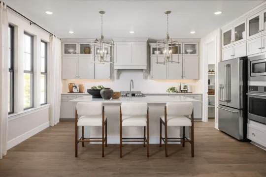 Cascade at One Lake Fayetteville II Kitchen Classic Palette 6 Level 2 Restoration Classic