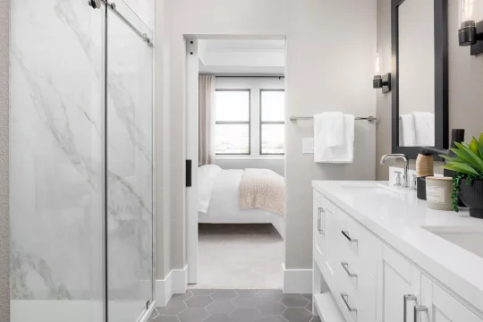 Cascade at One Lake Water Lilly II Primary Bath Loft Palette 3 Level 2 Black and White Loft