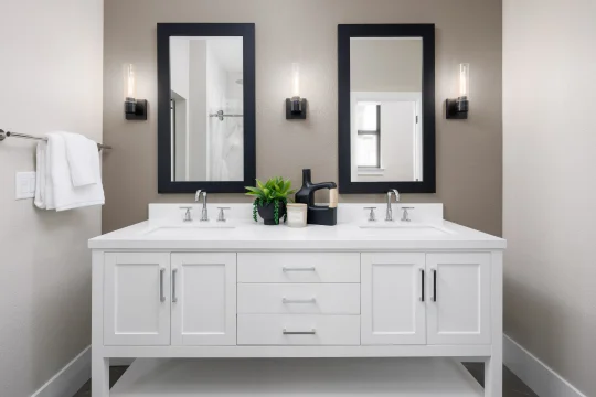 Cascade at One Lake Water Lilly II Primary Bath Loft Palette 3 Level 2 Black and White Loft