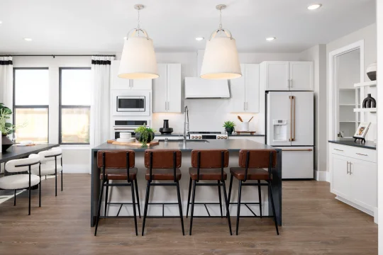 Cascade at One Lake Water Lilly II Kitchen Loft Palette 3 Level 2 Black and White Loft