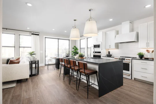 Cascade at One Lake Water Lilly II Kitchen Loft Palette 3 Level 2 Black and White Loft