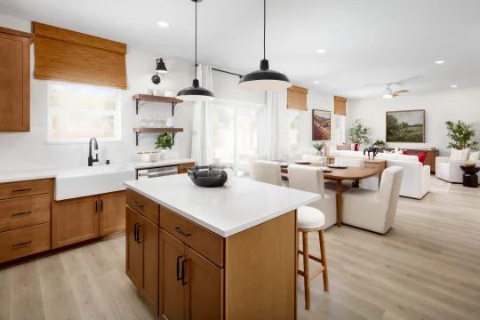 Aspire at Desert Vista Oleander II Kitchen Farmhouse Palette 5 Ascend