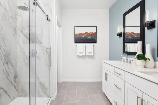Aspire at Desert Vista Goldenrod Primary Bath Loft Palette 6 Ascend