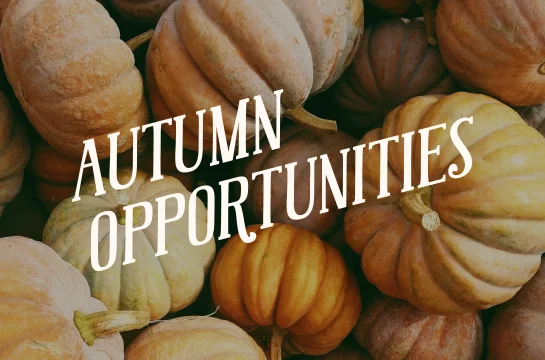 FallCampaign 2026 PromoBanner
